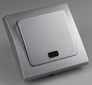 DELPHI silber Kontroll-Schalter mit Lämpchen 250V~/ 10A, inkl. Rahmen, UP